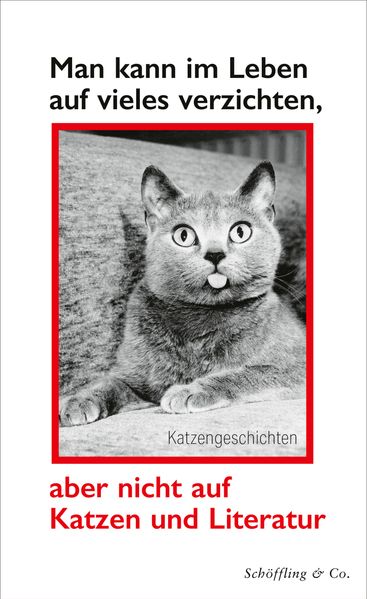 Man kann im Leben auf vieles verzichten aber nicht auf Katzen und Literatur