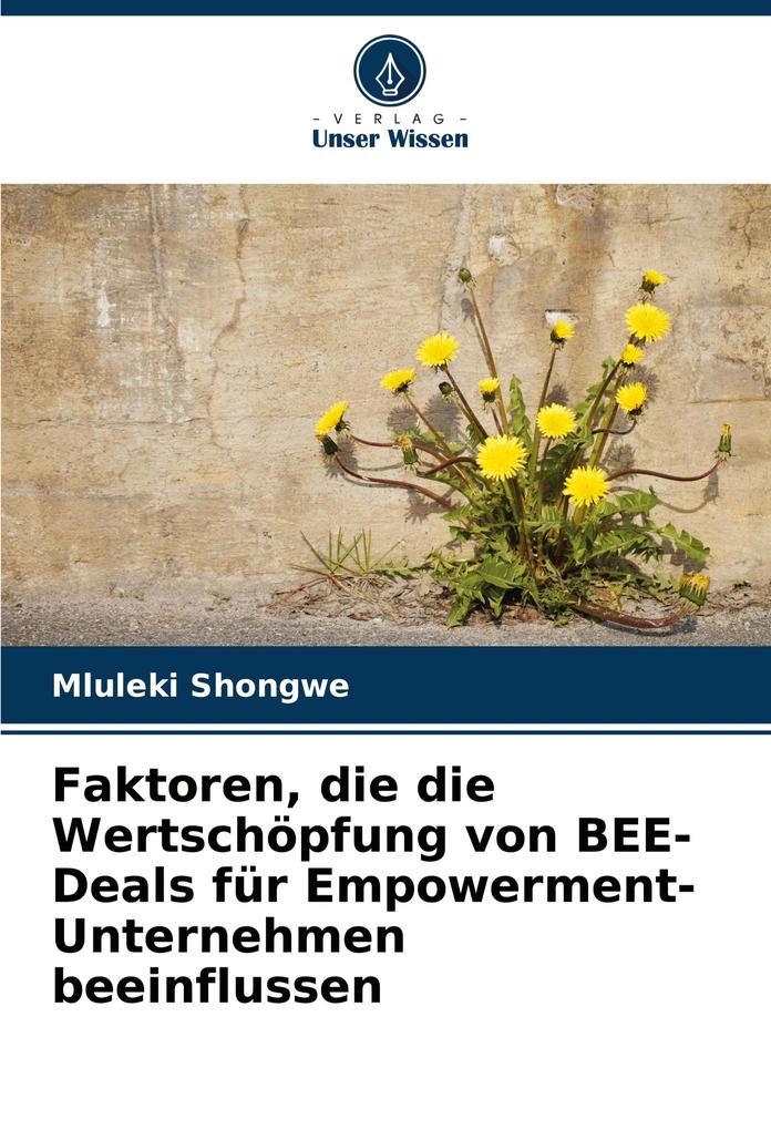 Faktoren die die Wertschöpfung von BEE-Deals für Empowerment-Unternehmen beeinflussen