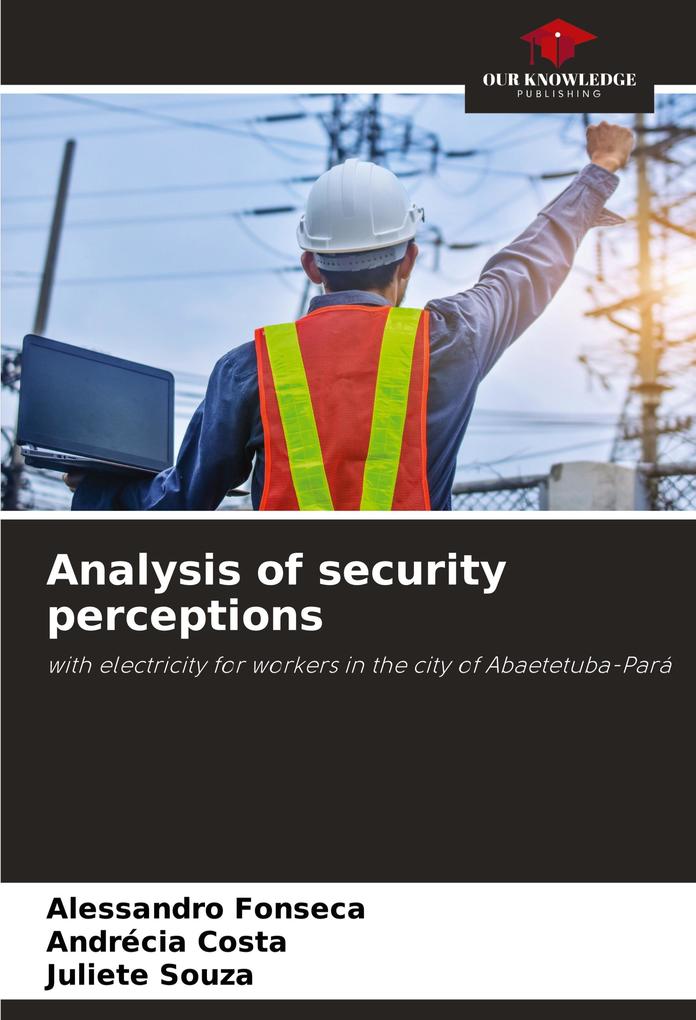 Analysis of security perceptions