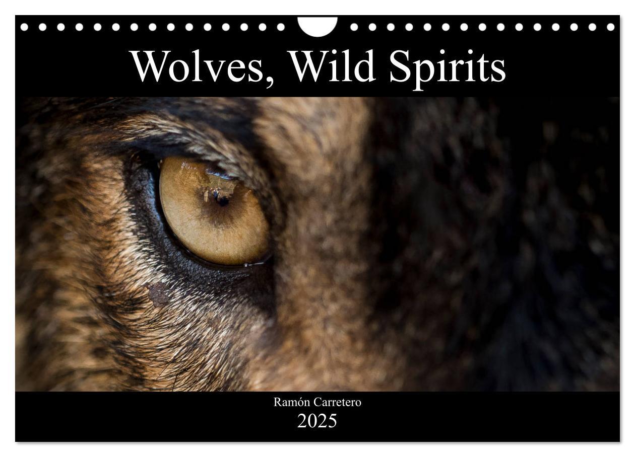 Wolves Wild Spirits (Wall Calendar 2025 DIN A4 landscape) CALVENDO 12 Month Wall Calendar