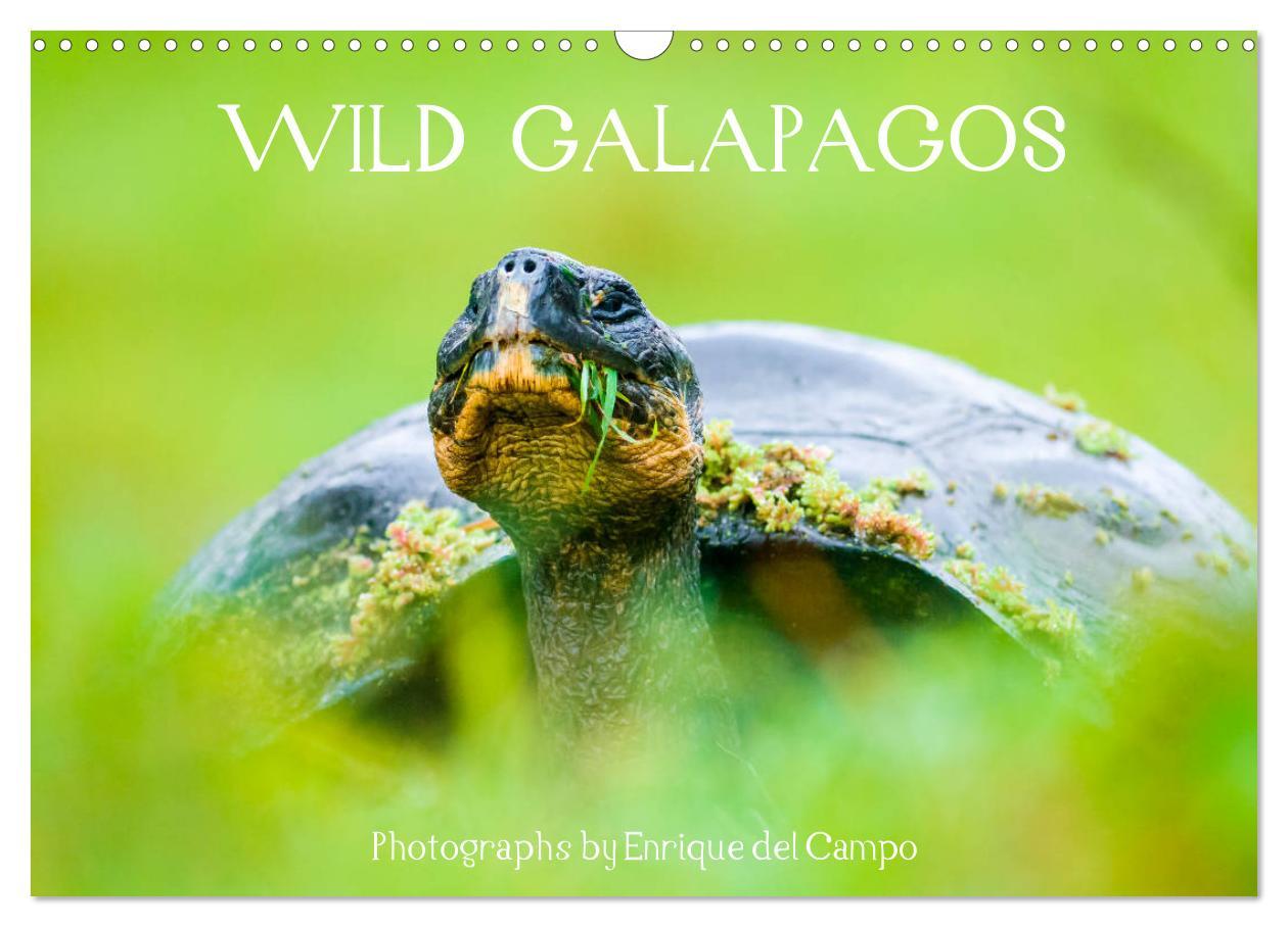 WILD GALAPAGOS (Wall Calendar 2025 DIN A3 landscape) CALVENDO 12 Month Wall Calendar