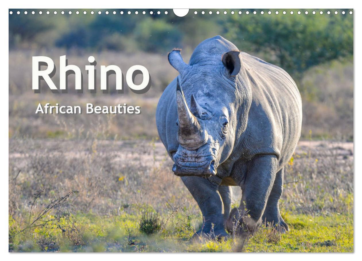 Rhinos african beauties (Wall Calendar 2025 DIN A3 landscape) CALVENDO 12 Month Wall Calendar