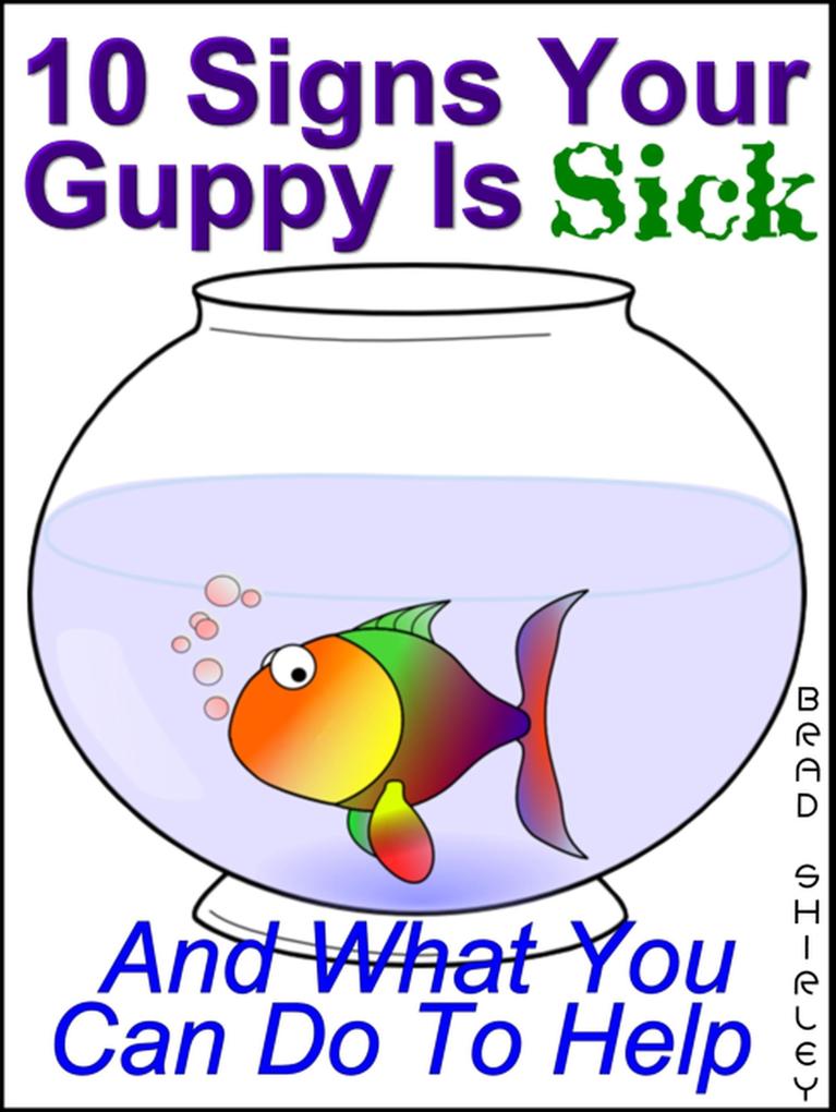 10 Signs Your Guppy Is Sick (And What You Can Do To Help)