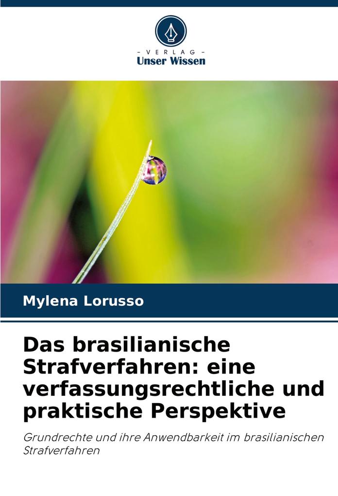 Das brasilianische Strafverfahren: eine verfassungsrechtliche und praktische Perspektive