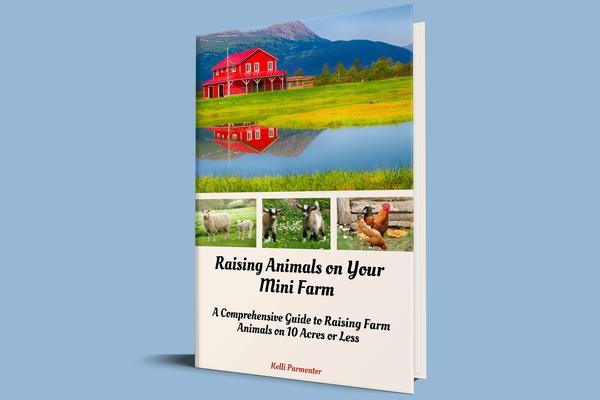 Raising Animals on Your Mini Farm