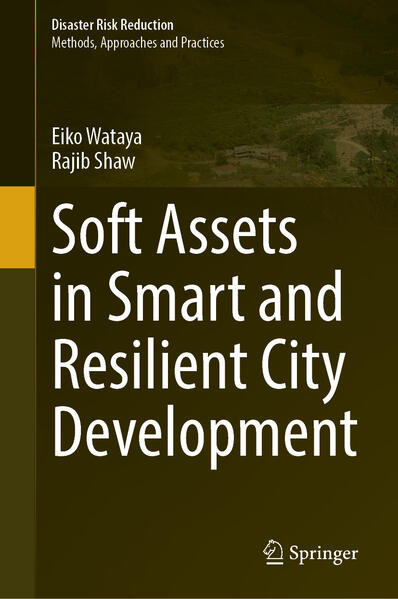 Soft Assets in Smart and Resilient City Development