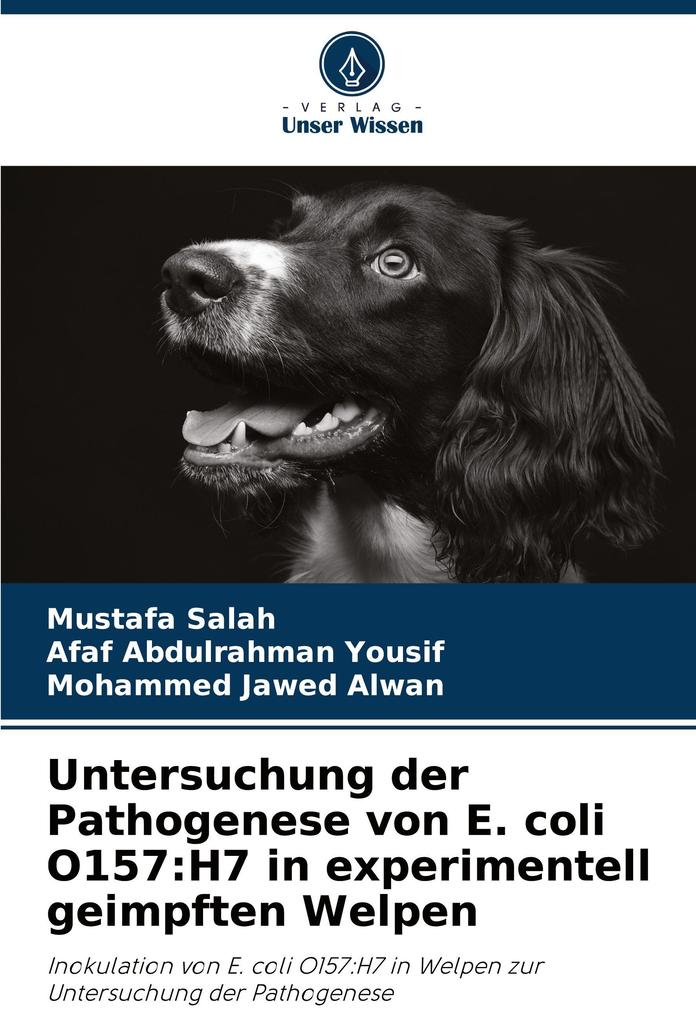 Untersuchung der Pathogenese von E. coli O157:H7 in experimentell geimpften Welpen