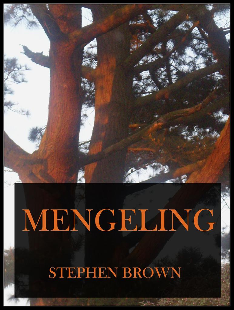 Mengeling (Moments in Rhyme #2)
