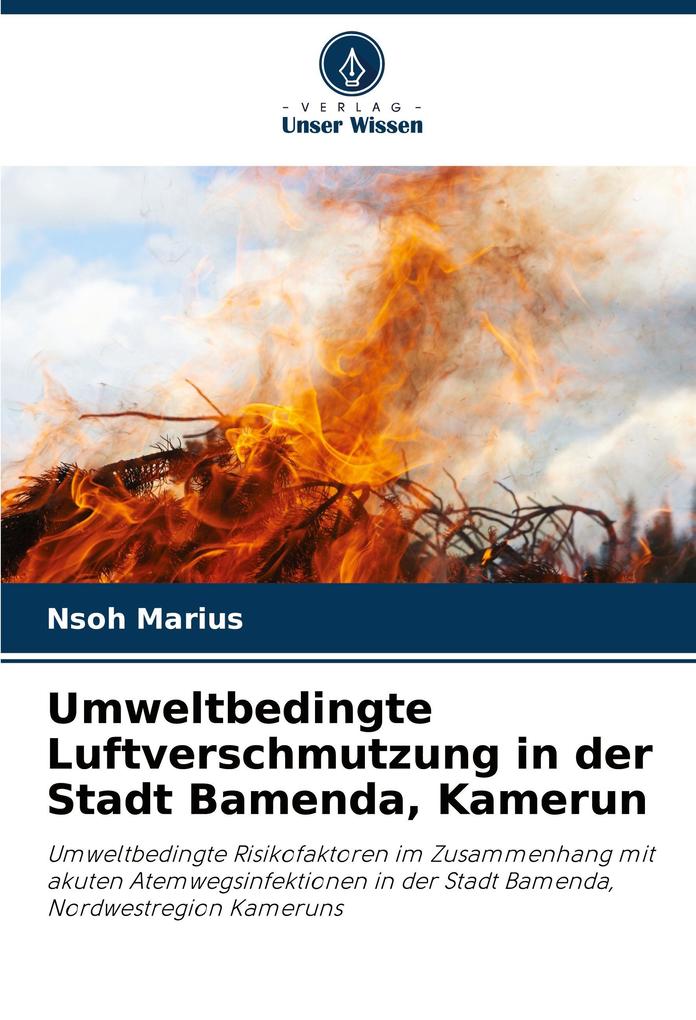 Umweltbedingte Luftverschmutzung in der Stadt Bamenda Kamerun