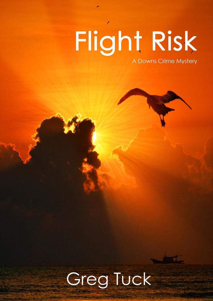 Flight Risk (Downs Crime Mysteries #10)