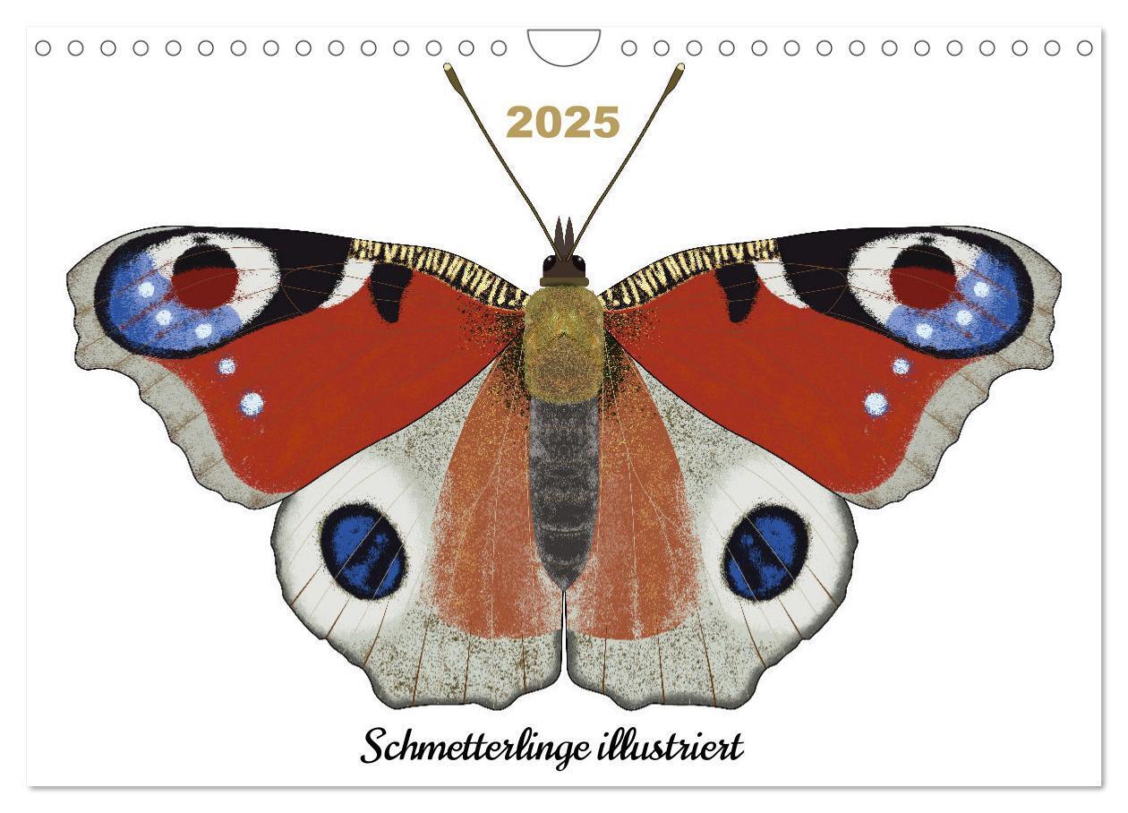 Schmetterlinge illustriert (Wandkalender 2025 DIN A4 quer) CALVENDO Monatskalender