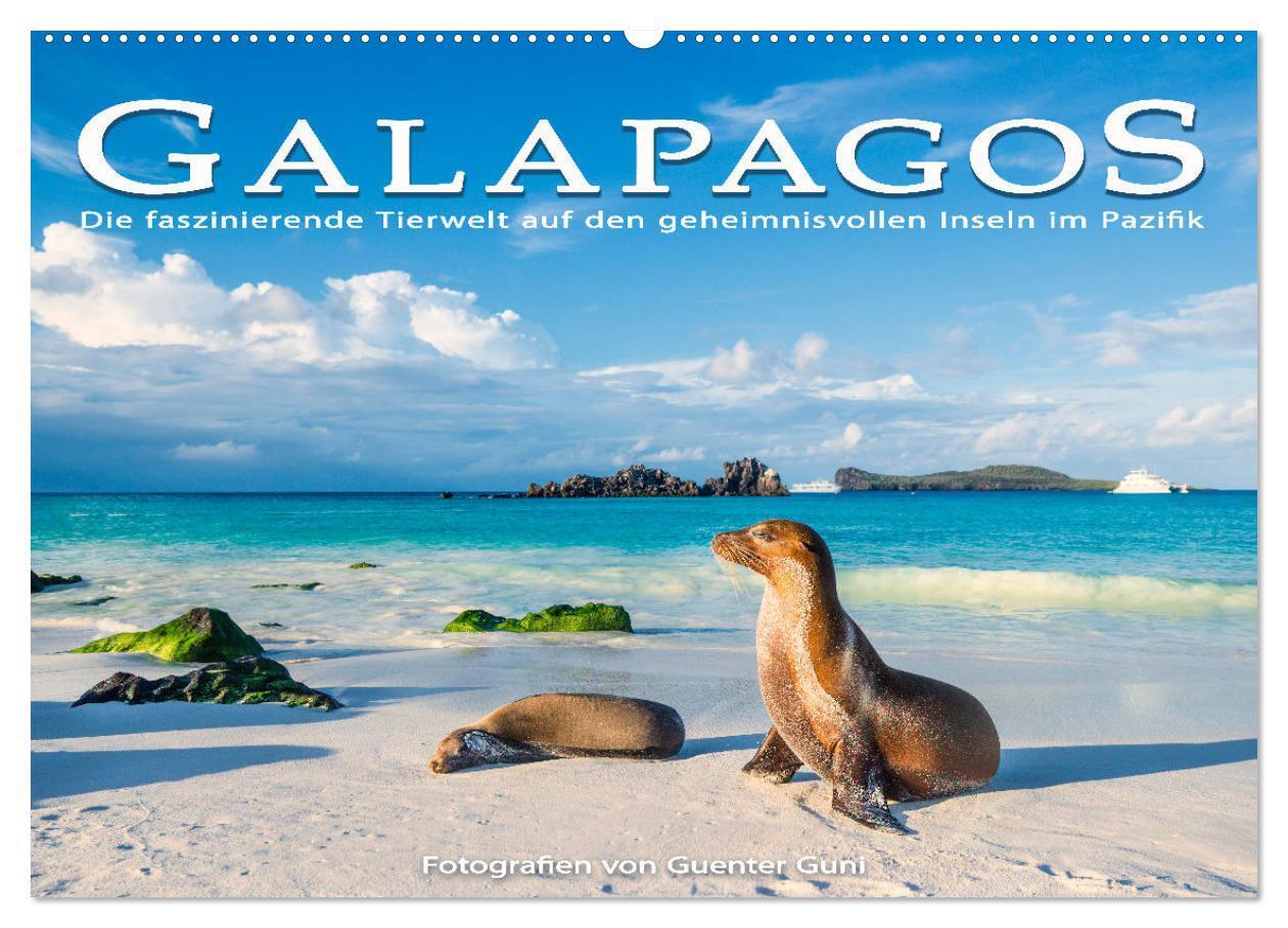 Die faszinierende Tierwelt der Galapagos-Inseln (Wandkalender 2025 DIN A2 quer) CALVENDO Monatskalender