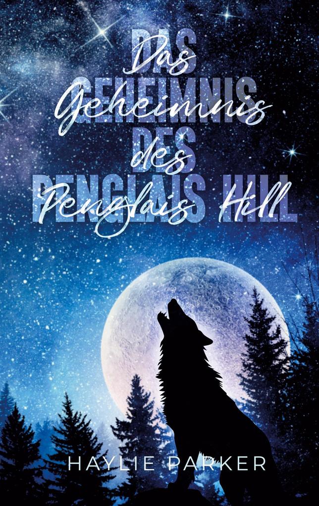 Das Geheimnis des Penglais Hill