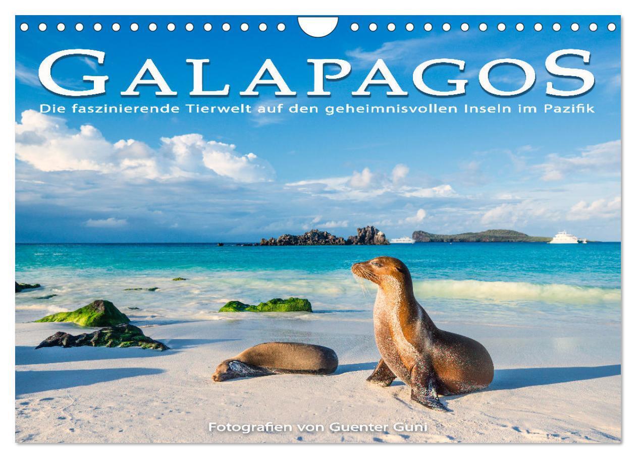 Die faszinierende Tierwelt der Galapagos-Inseln (Wandkalender 2025 DIN A4 quer) CALVENDO Monatskalender
