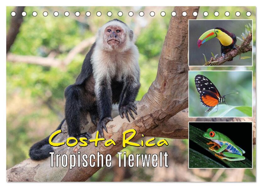 Costa Rica - Tropische Tierwelt (Tischkalender 2025 DIN A5 quer) CALVENDO Monatskalender