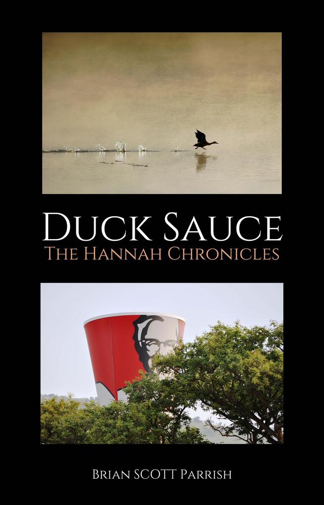 Duck Sauce: The Hannah Chronicles