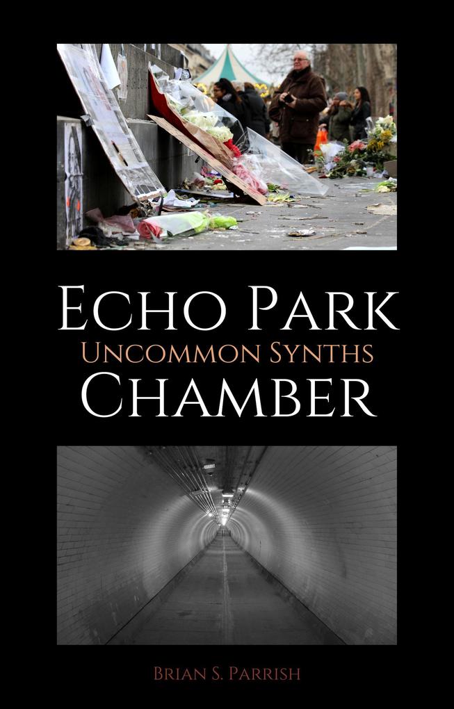 Echo Park Chamber: Uncommon Synths