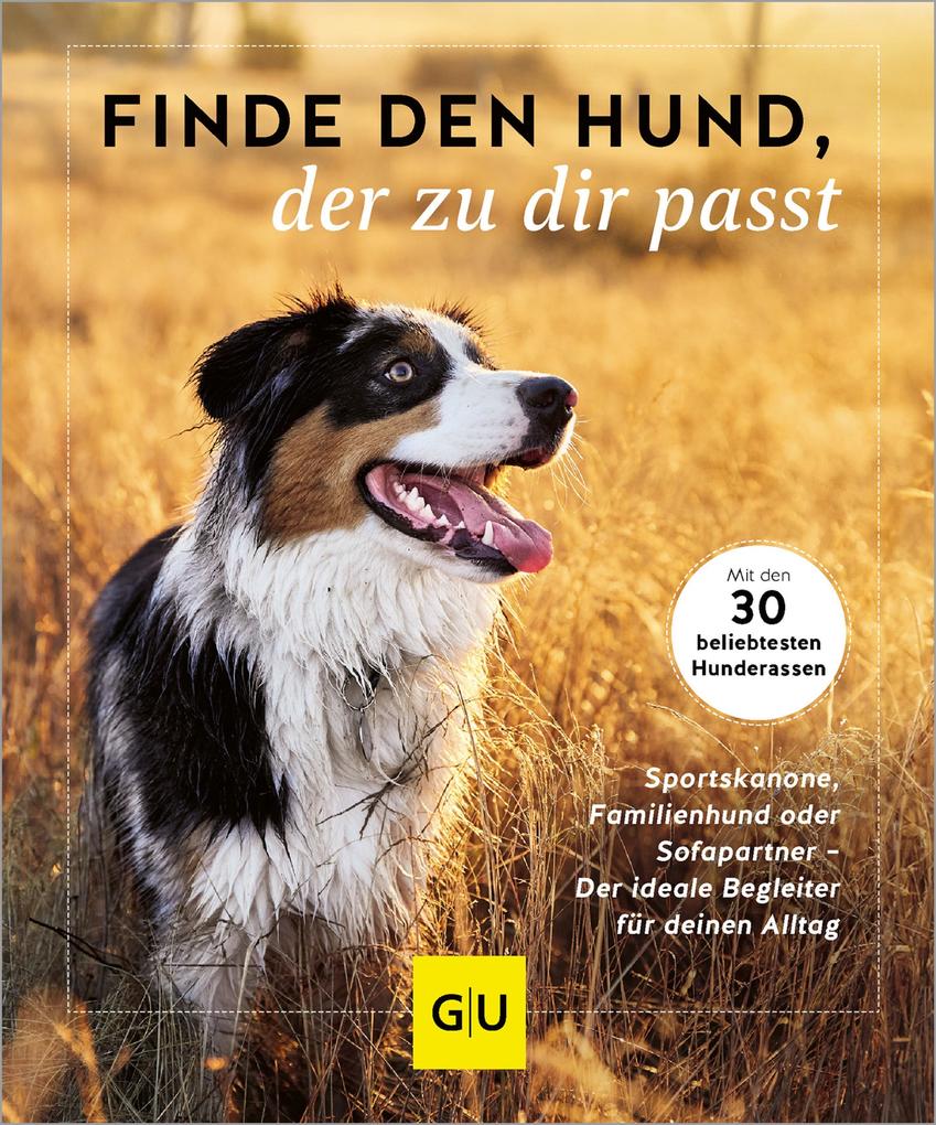 Finde den Hund der zu dir passt