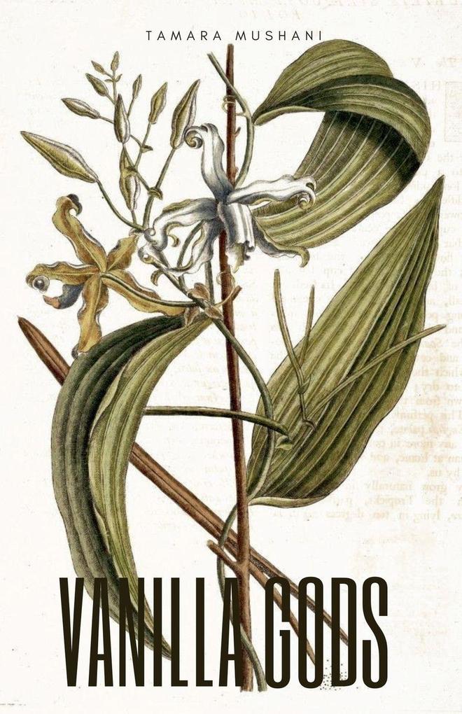 Vanilla Gods