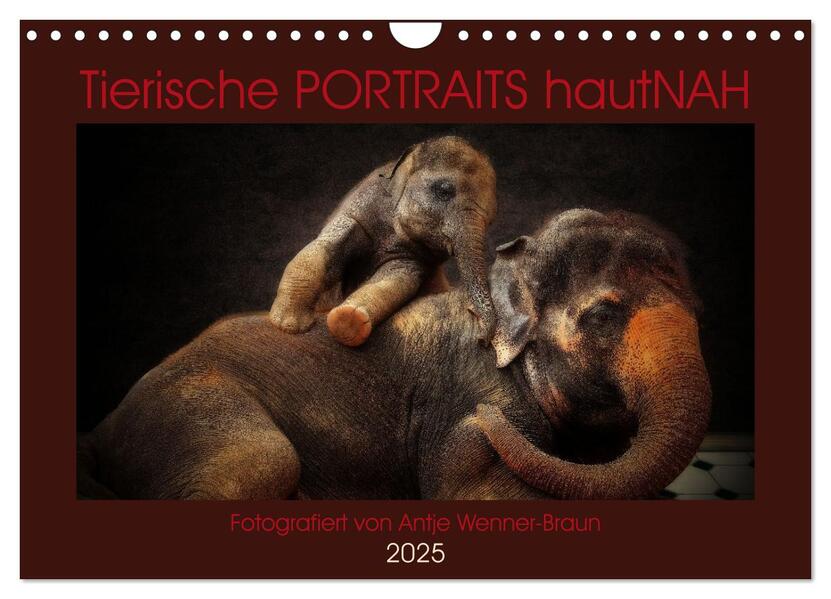 Tierische PORTRAITS hautNAH (Wandkalender 2025 DIN A4 quer) CALVENDO Monatskalender