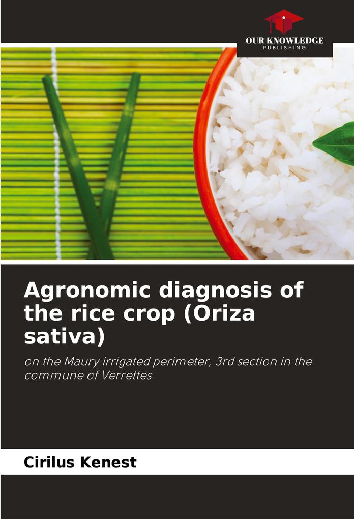 Agronomic diagnosis of the rice crop (Oriza sativa)
