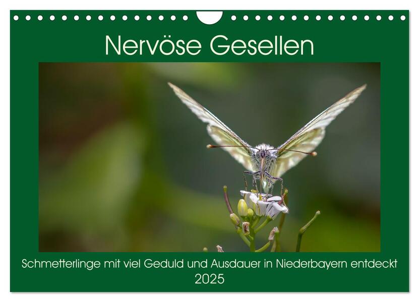 Nervöse Gesellen (Wandkalender 2025 DIN A4 quer) CALVENDO Monatskalender