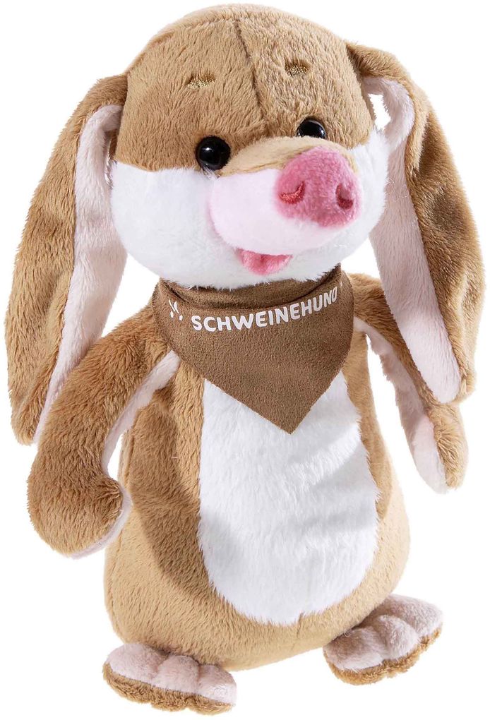 Heunec - Fitness-Freund - Schweinehund