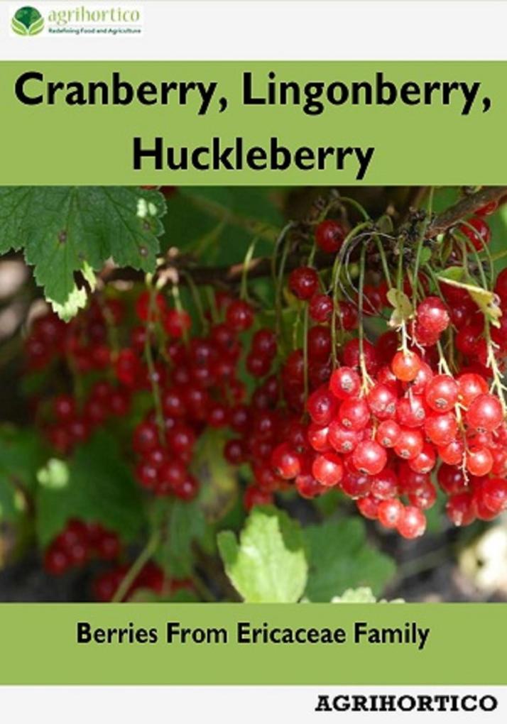Cranberry Lingonberry and Huckleberry: Berries from Ericaceae Family