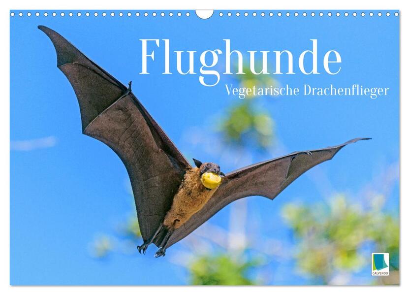Flughunde: Vegetarische Drachenflieger (Wandkalender 2025 DIN A3 quer) CALVENDO Monatskalender