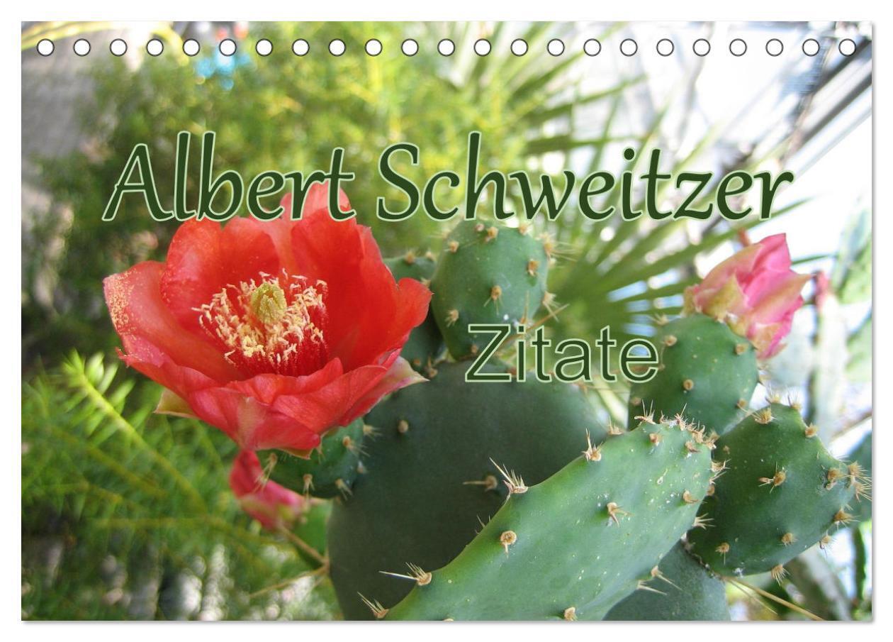 Albert Schweitzer Zitate (Tischkalender 2025 DIN A5 quer) CALVENDO Monatskalender - M. Lindner (Fotos)/ Calvendo