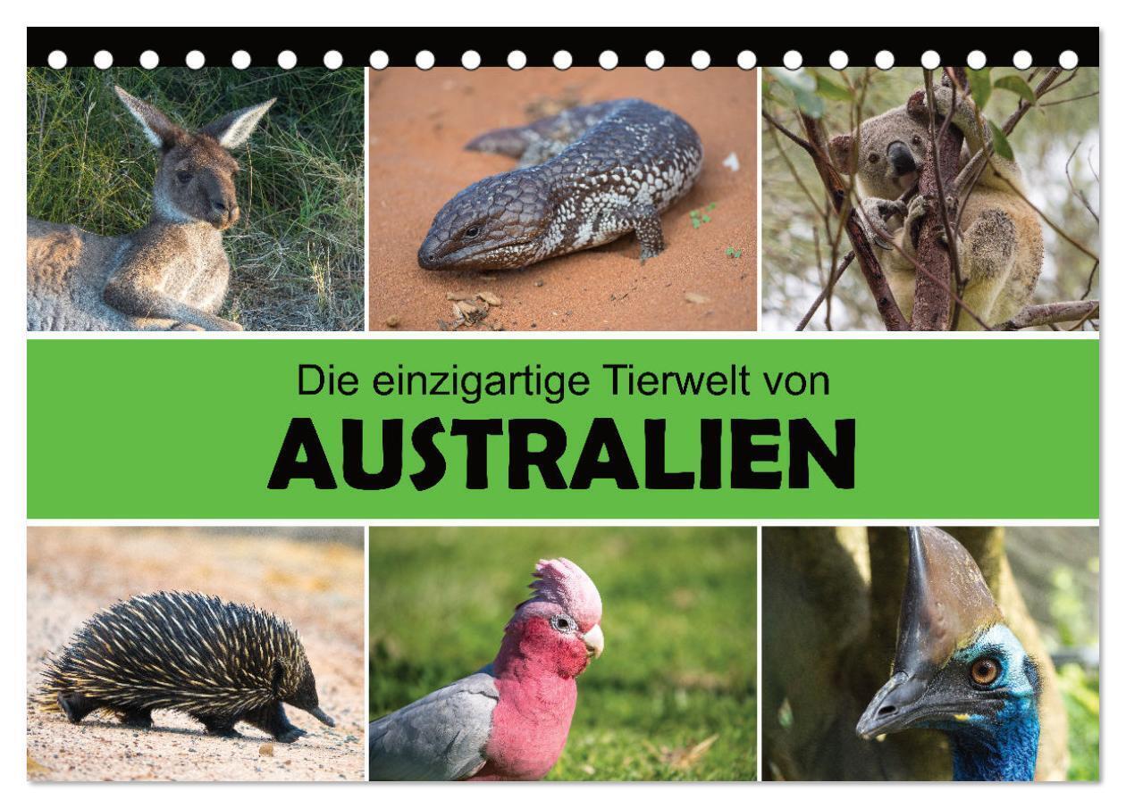 Die einzigartige Tierwelt von Australien (Tischkalender 2025 DIN A5 quer) CALVENDO Monatskalender