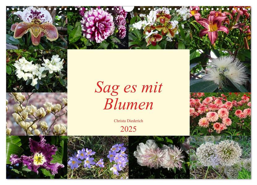 Sag es mit Blumen (Wandkalender 2025 DIN A3 quer) CALVENDO Monatskalender - Christa Diederich/ Calvendo