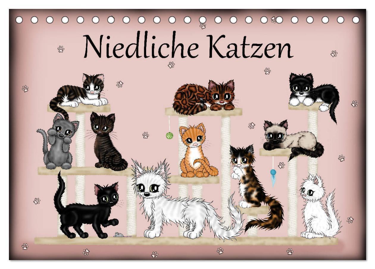 Niedliche Katzen (Tischkalender 2025 DIN A5 quer) CALVENDO Monatskalender
