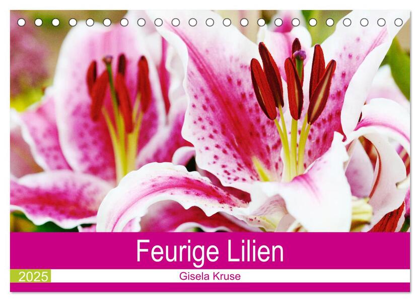 Feurige Lilien (Tischkalender 2025 DIN A5 quer) CALVENDO Monatskalender - Gisela Kruse/ Calvendo