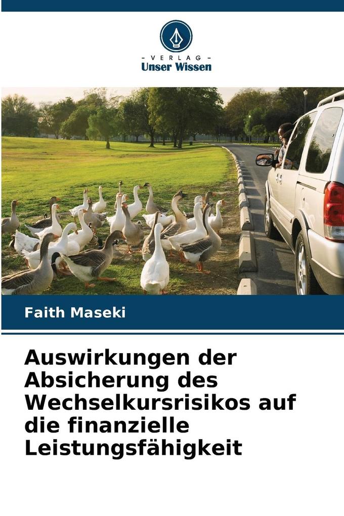 Auswirkungen der Absicherung des Wechselkursrisikos auf die finanzielle Leistungsfähigkeit
