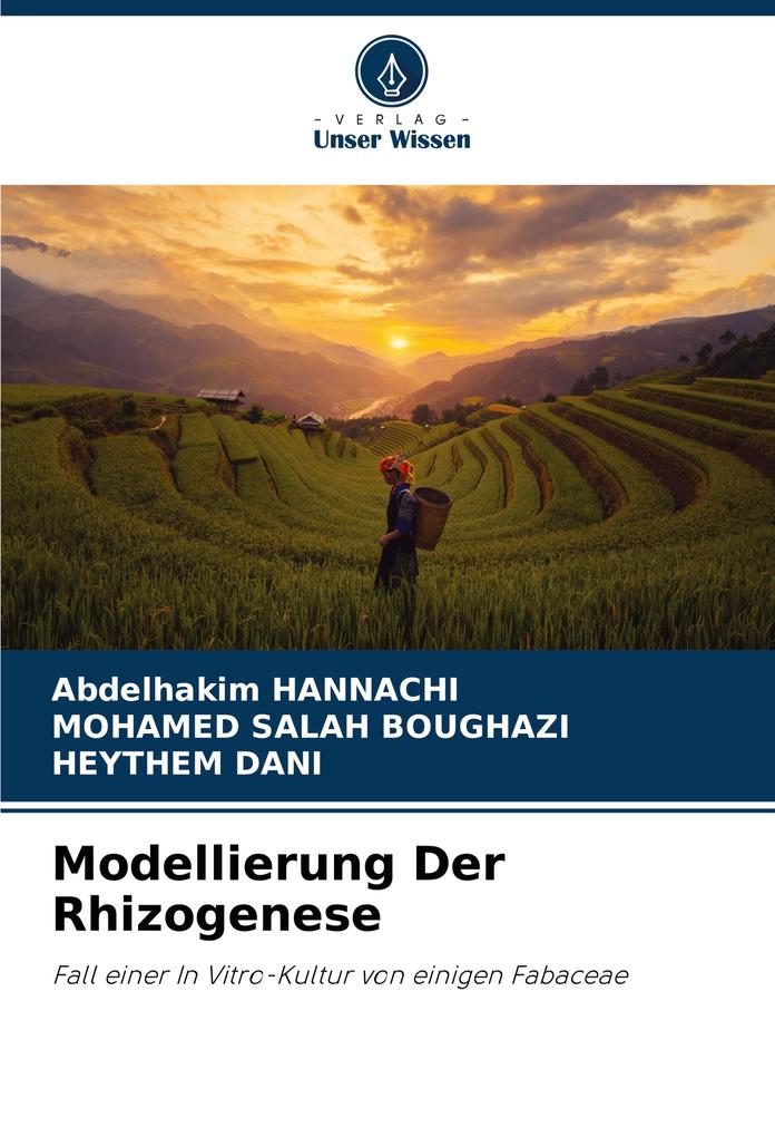 Modellierung Der Rhizogenese