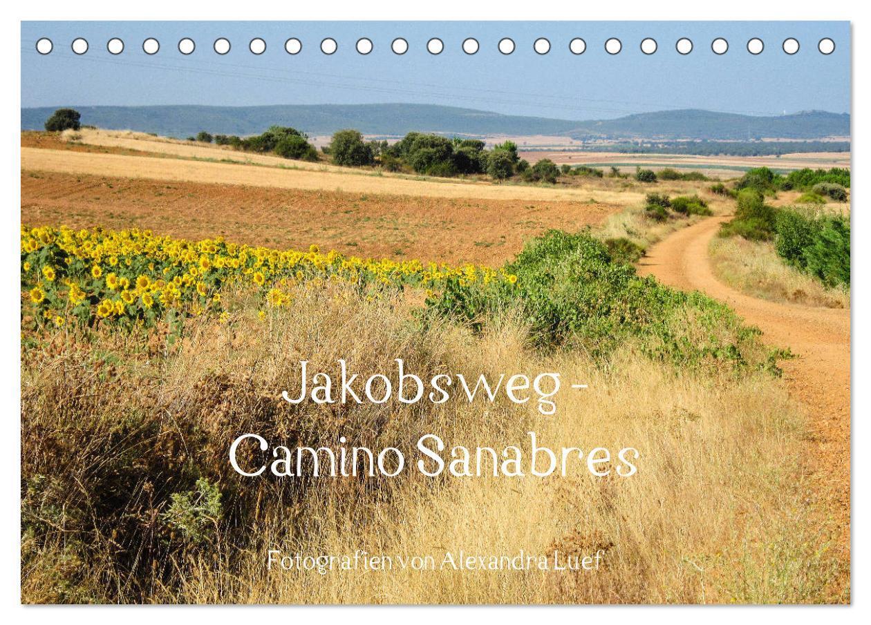 Jakobsweg - Camino Sanabres (Tischkalender 2025 DIN A5 quer) CALVENDO Monatskalender