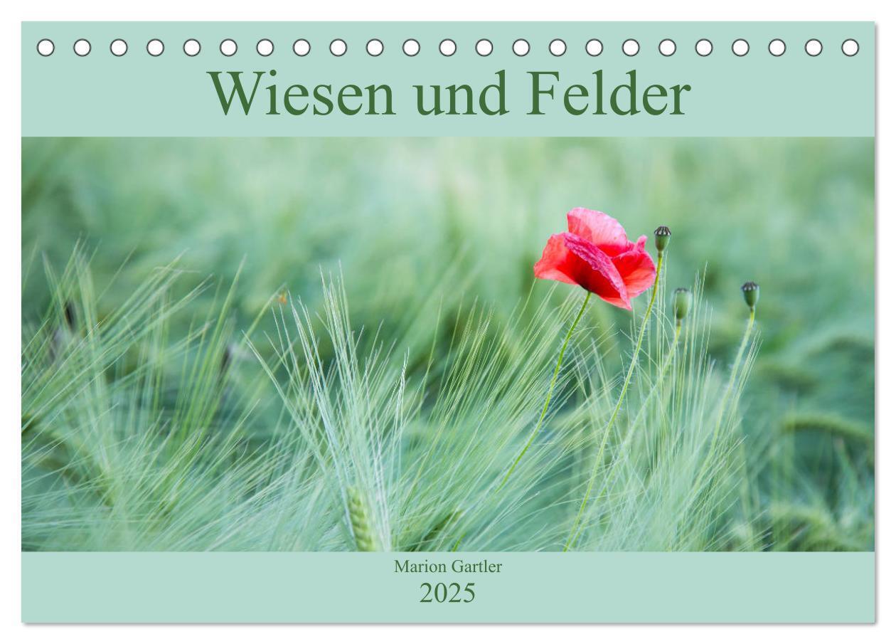 Wiesen und Felder (Tischkalender 2025 DIN A5 quer) CALVENDO Monatskalender