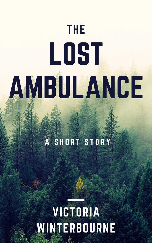 The Lost Ambulance
