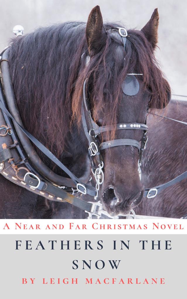 Feathers in the Snow (Near and Far Christmas #1)
