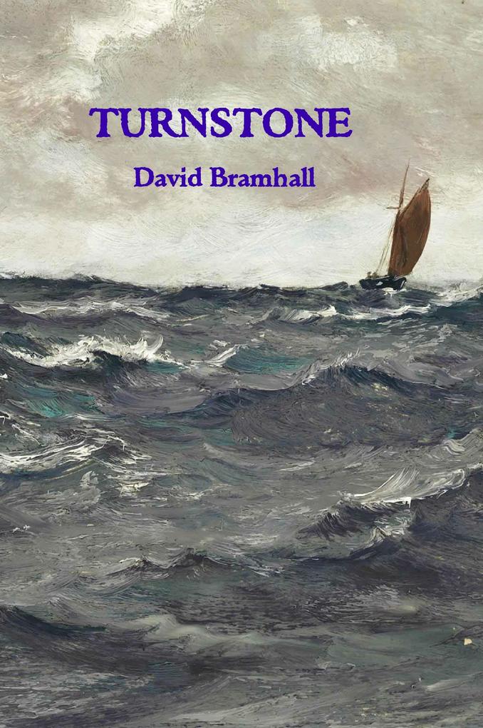 Turnstone (The Greatest Cape #4)