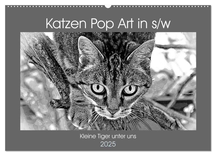 Katzen Pop Art in s/w - Kleine Tiger unter uns (Wandkalender 2025 DIN A2 quer) CALVENDO Monatskalender
