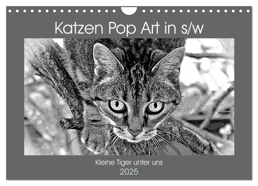 Katzen Pop Art in s/w - Kleine Tiger unter uns (Wandkalender 2025 DIN A4 quer) CALVENDO Monatskalender