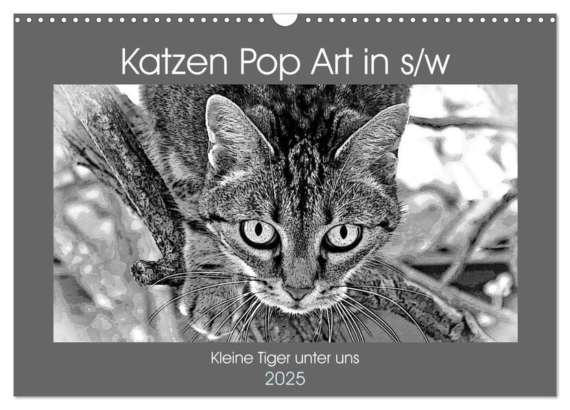 Katzen Pop Art in s/w - Kleine Tiger unter uns (Wandkalender 2025 DIN A3 quer) CALVENDO Monatskalender