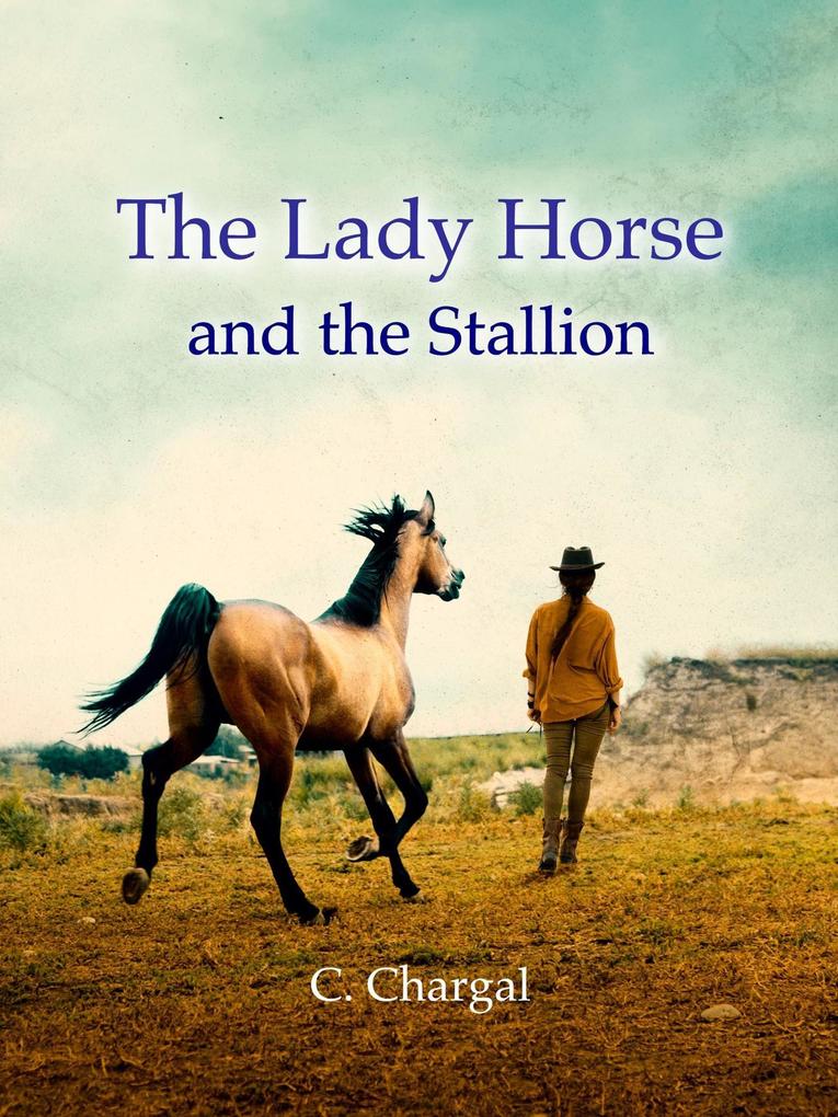The Lady Horse and the Stallion