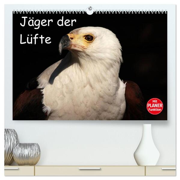 Jäger der Lüfte (hochwertiger Premium Wandkalender 2025 DIN A2 quer) Kunstdruck in Hochglanz