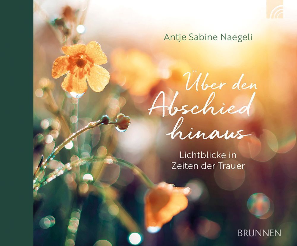 Brunnen-Verlag Gmbh Über Den Abschied Hinaus