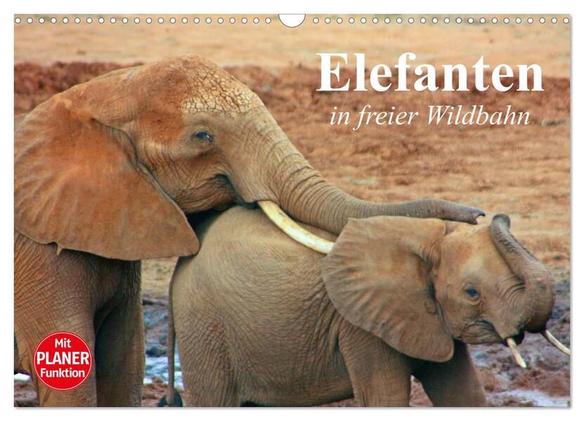Elefanten in freier Wildbahn (Wandkalender 2025 DIN A3 quer) CALVENDO Monatskalender