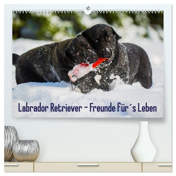 Labrador Retriever - Freunde fürs Leben (hochwertiger Premium Wandkalender 2025 DIN A2 quer) Kunstdruck in Hochglanz