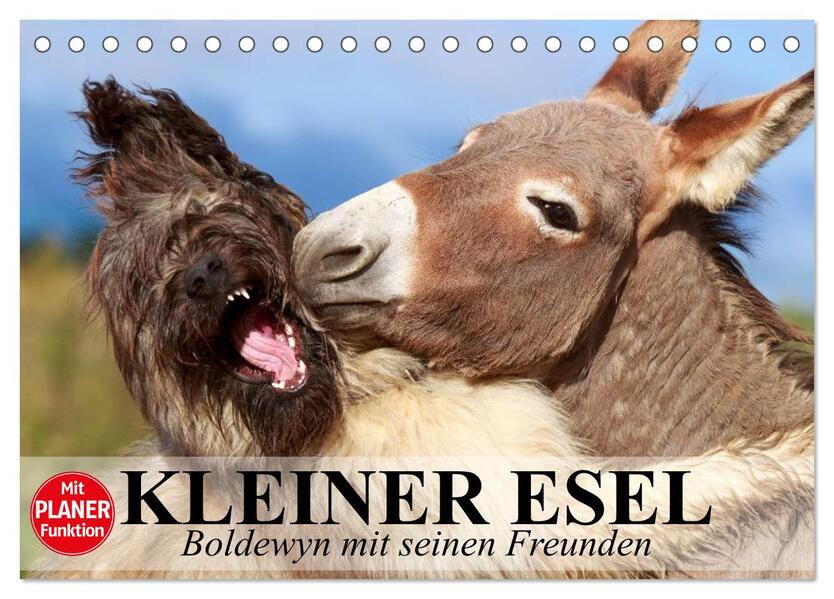 Kleiner Esel. Boldewyn mit seinen Freunden (Tischkalender 2025 DIN A5 quer) CALVENDO Monatskalender